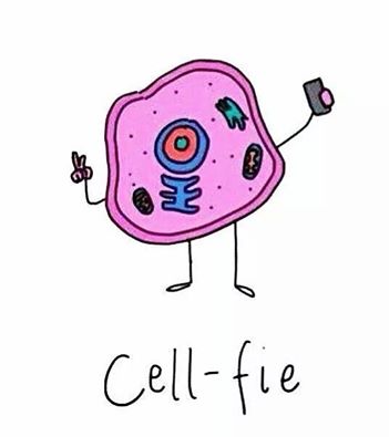 Get it? :) 