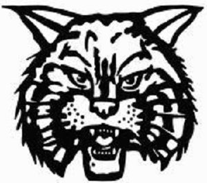 Bobcat