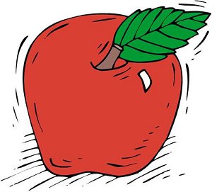 noonan apple