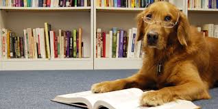 Dog Reading in Library