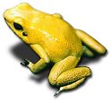 am