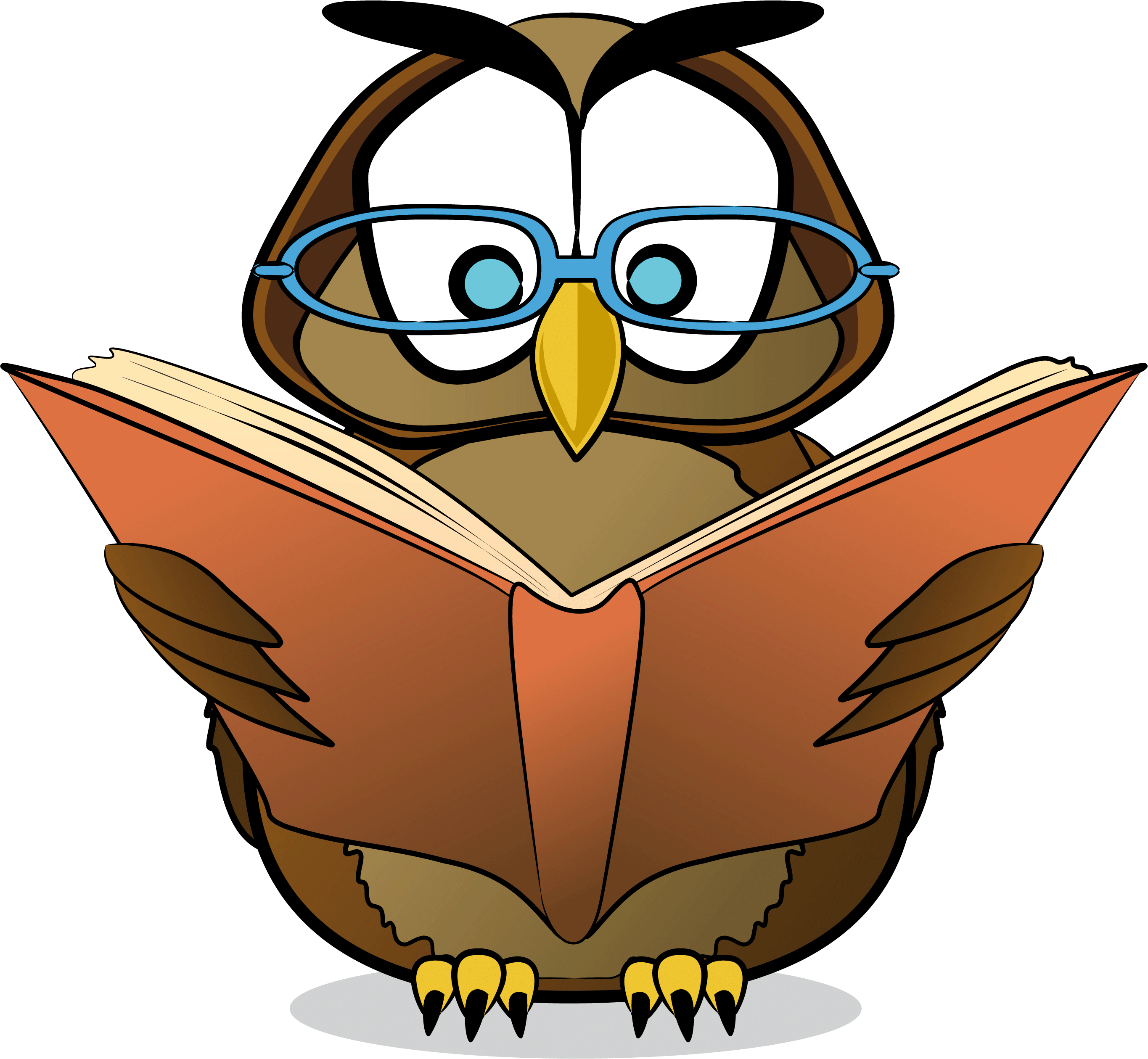 owl book 