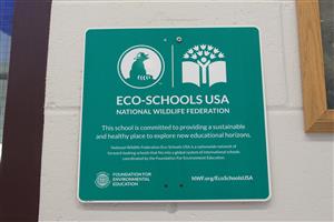 ECO ECO