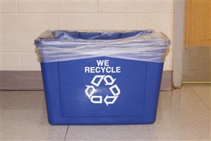 rec bin rec bin