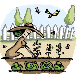 Summer Garden Club